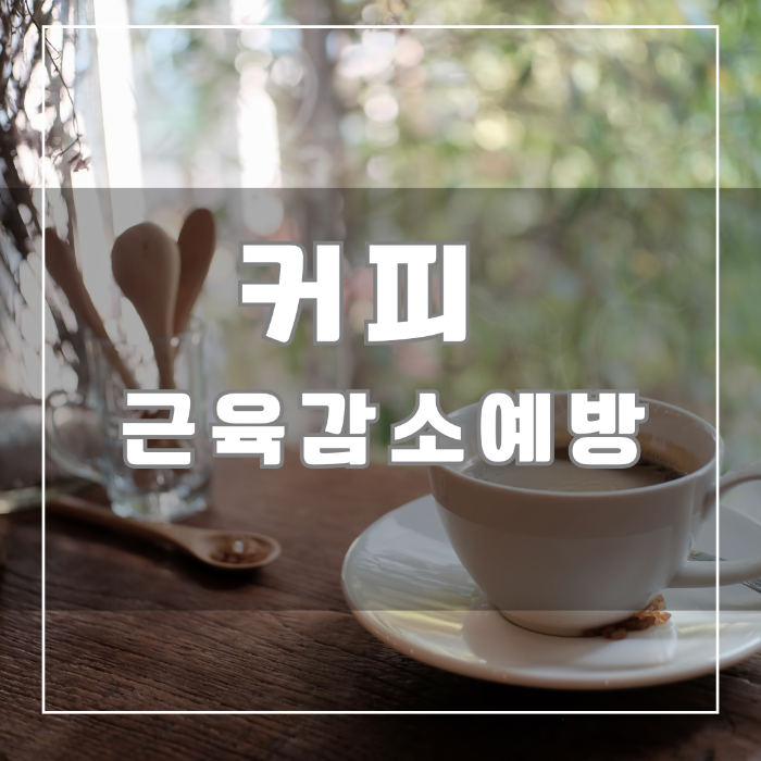 커피 근육감소예방