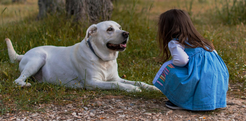어린이와 강아지가 마주보고 앉아 서로 바라보고 있는 이미지