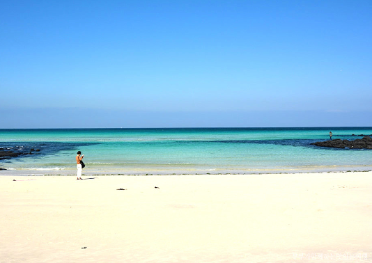 제주고 해수욕장 개장