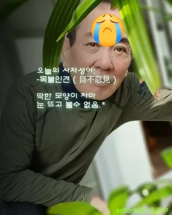 목불인견 뜻 유래 예문 반대말 유의어 안내_14