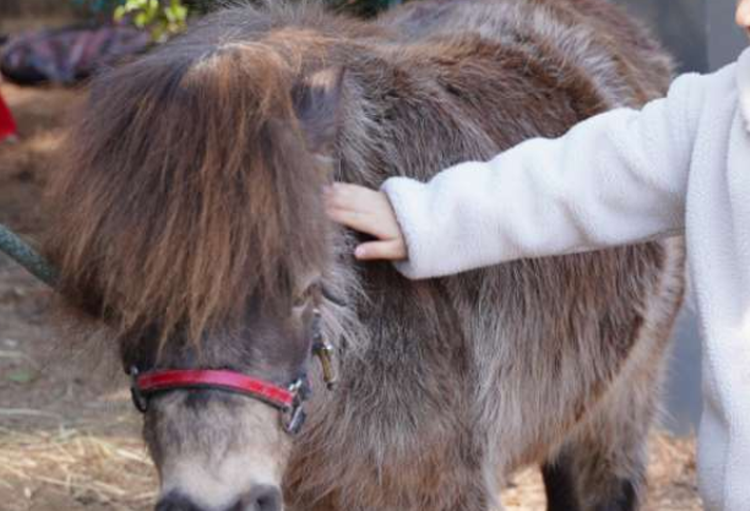대구 네이처파크