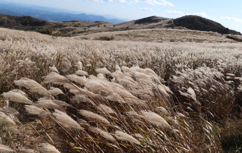 황매산 등산코스