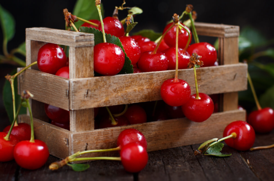 타트체리 부작용 효능