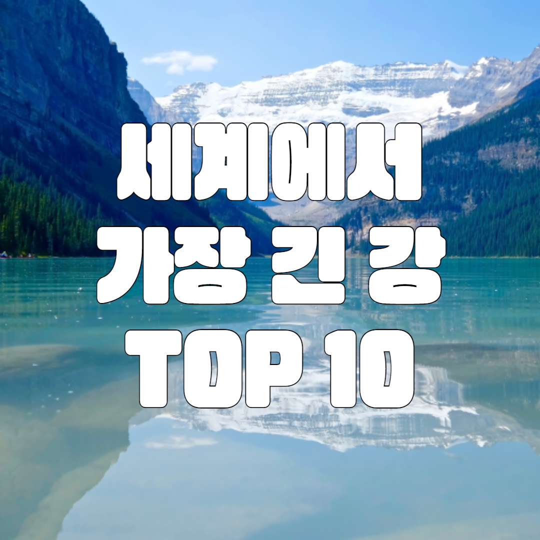 세계에서 가장 긴 강 TOP 10 순위