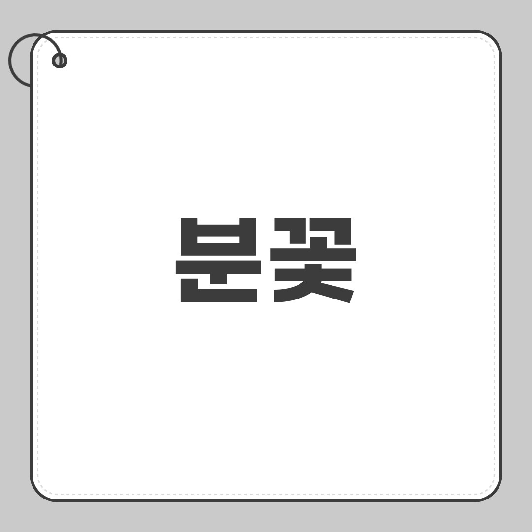 분꽃