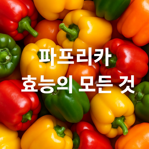 파프리카 효능 총정리