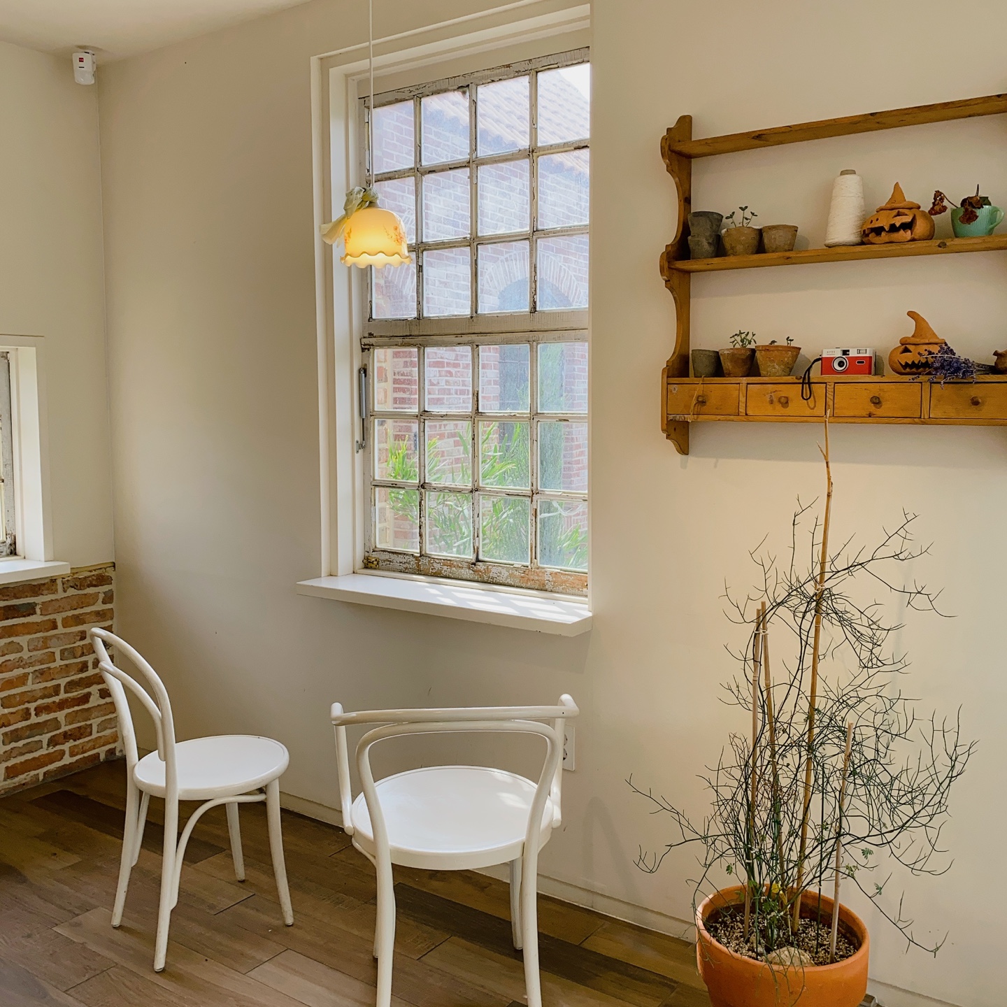 제주 조천 동백동산 자드부팡(jas de bouffan) 카페 리뷰 추천 주차 후기 솔직후기