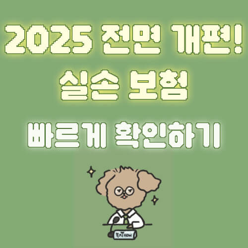 실손보험