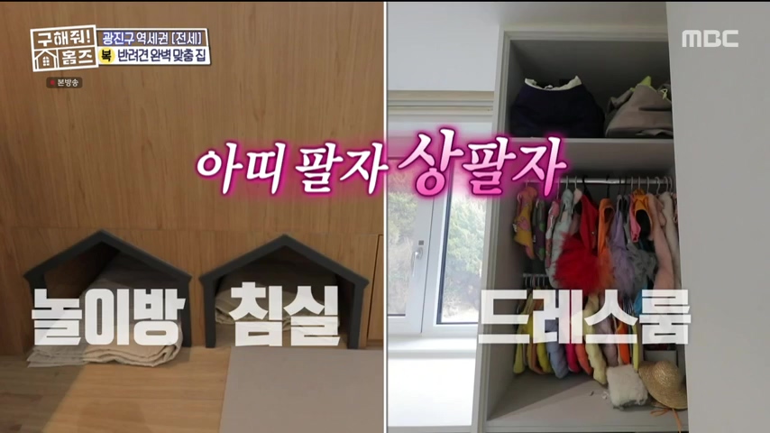 구해줘홈즈 댕댕하우스 동물병원 인접 서울시 광진구 중곡동 전세 매매 매물 가격 및 구조 인테리어 리모델링 최종선택 더보이즈 영훈 현재 소개