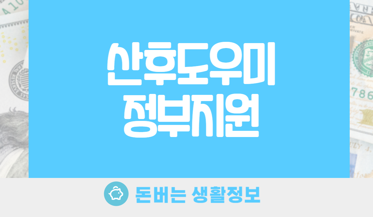 산후도우미 정부지원