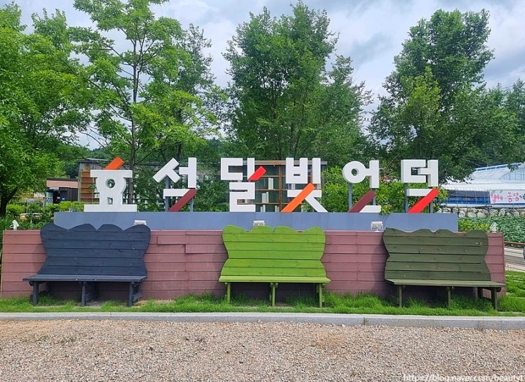 당일치기/가을/낭만/힐링/여행/코스