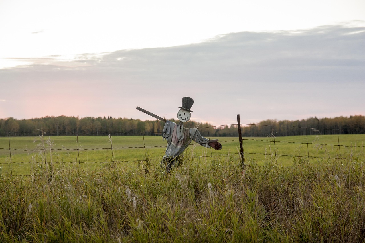 논둑 허수아비 세우기