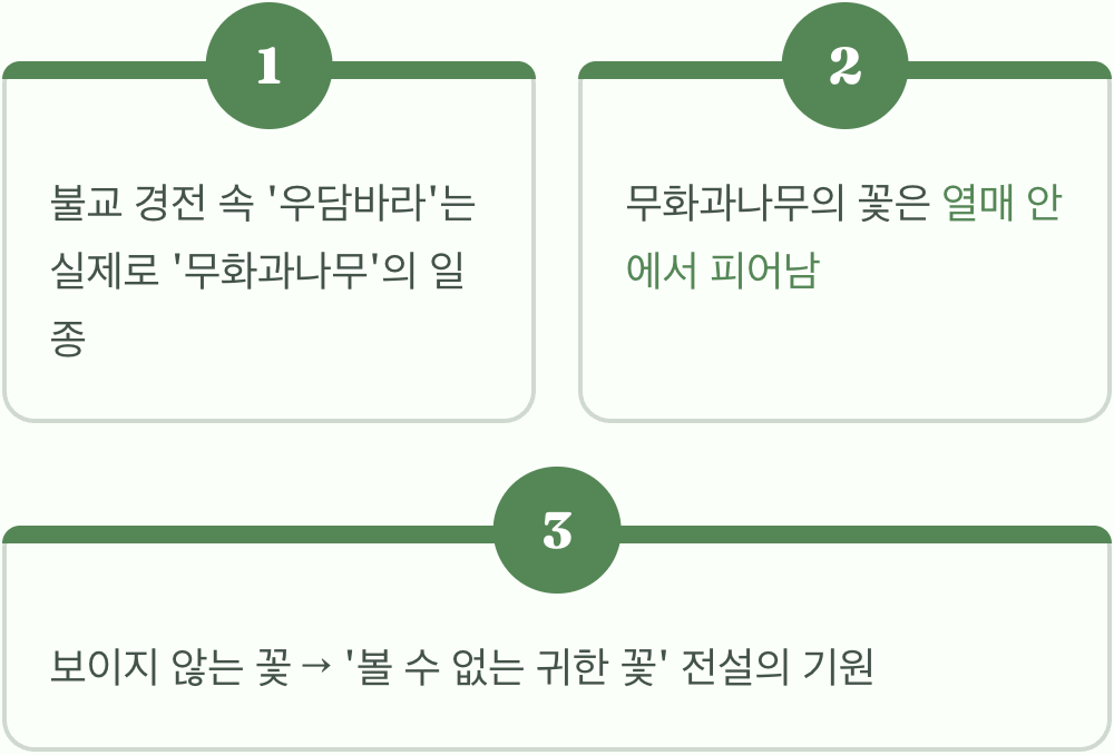 그렇다면 진짜 '우담바라'는 존재할까?
