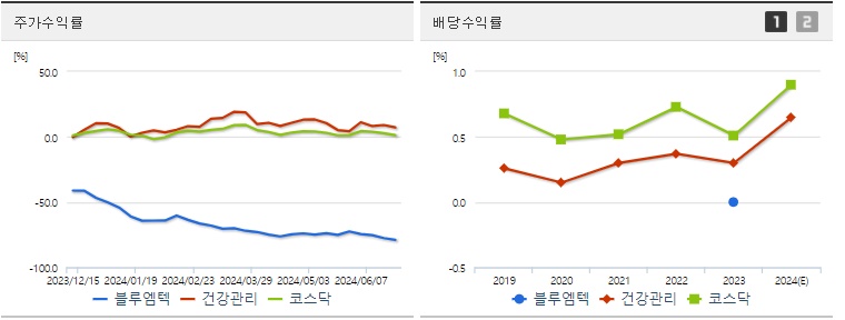 블루엠텍 주가,배당수익률