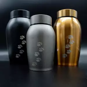 반려견 장례 비용 및 절차