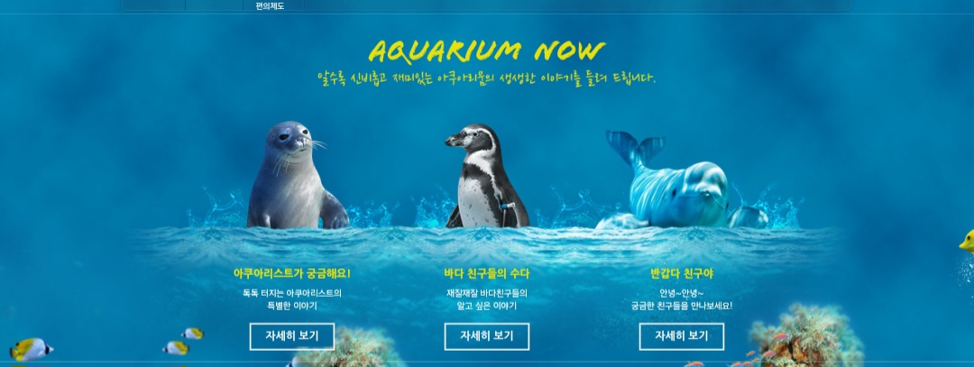 롯데 아쿠아리움