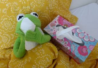 마이크로 플라즈마 폐렴