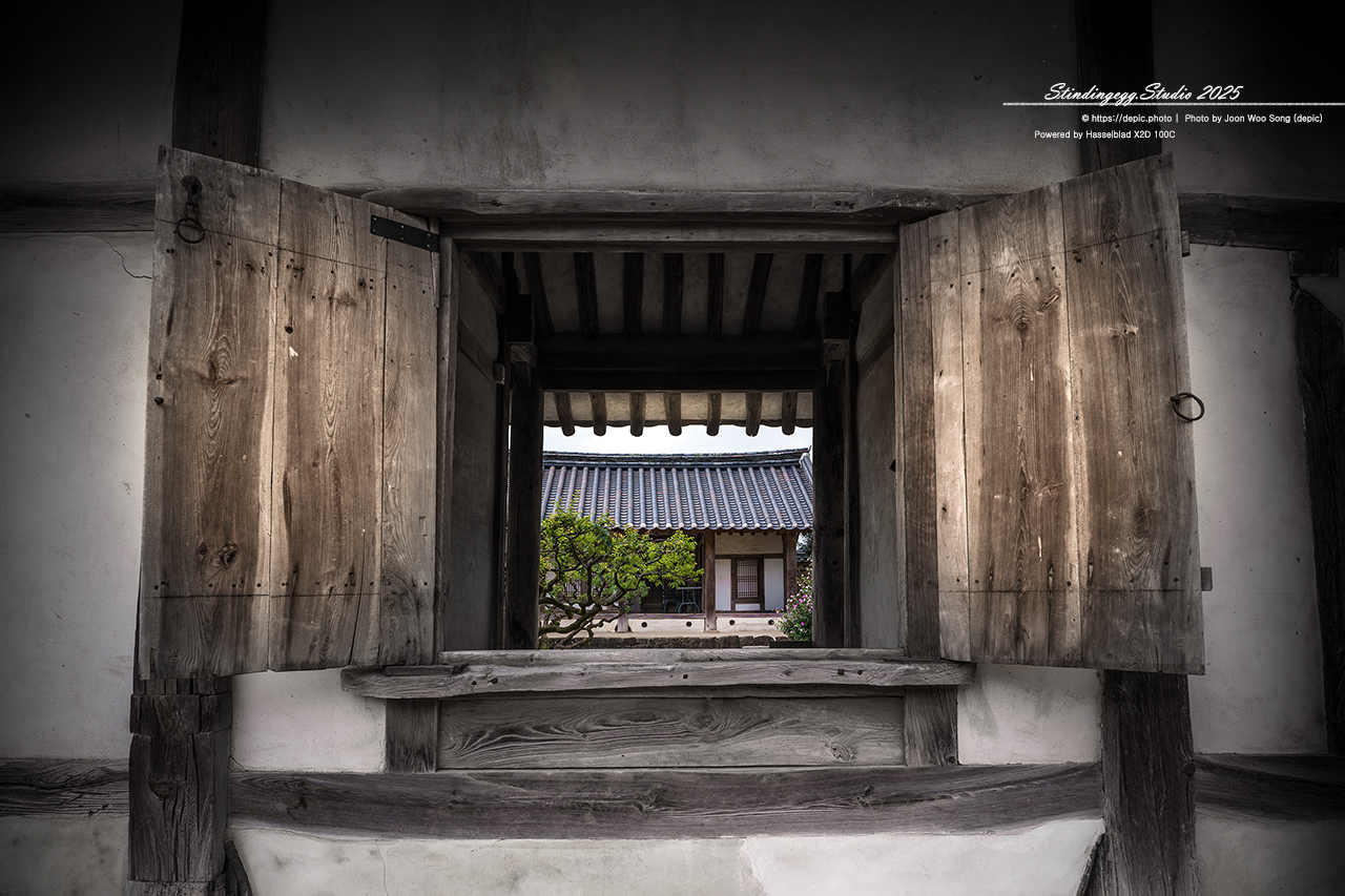 #안동 #서원 #유학 #병산서원 #배롱꽃