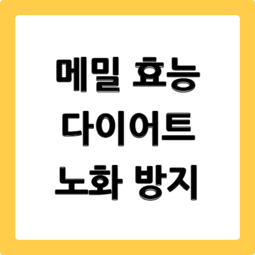 메밀 효능