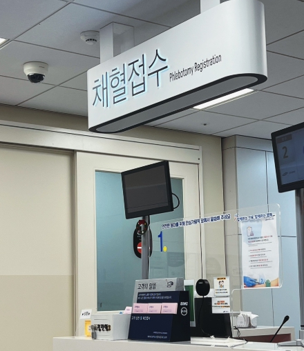 임산부 임당검사 완벽분석