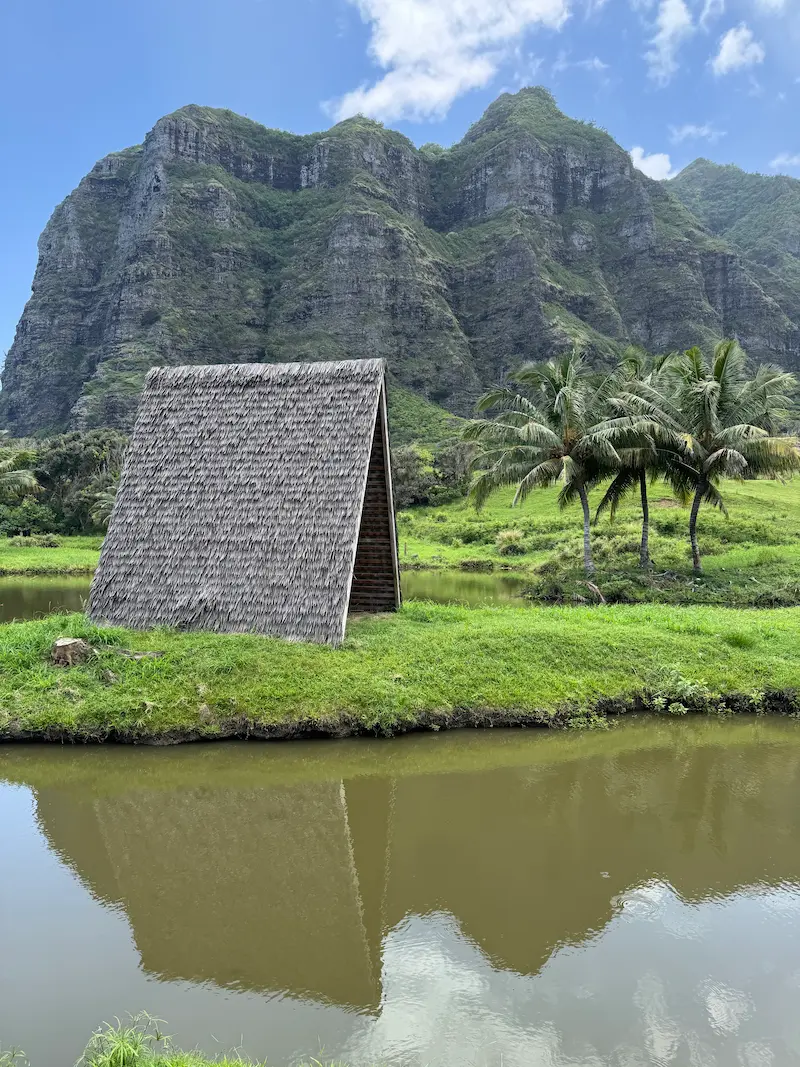 쿠알로아랜치 의 산과 나무 풍경