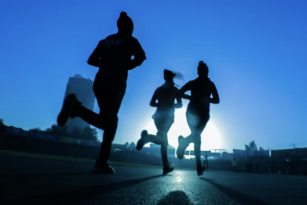 유산소 운동과 근육 운동 근력 강화 트레이닝