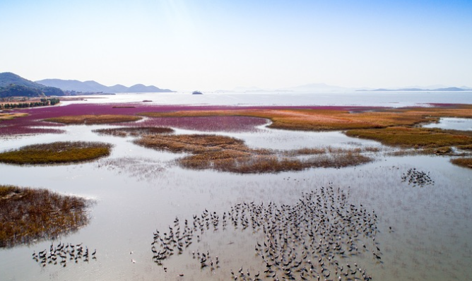 순천만 국가정원과 갈대밭으로 떠나는 힐링 여행
