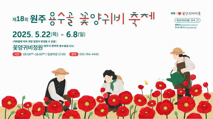 2025 원주 용수골 꽃양귀비축제 ❘기간, 일정, 체험 및 프로그램 정리