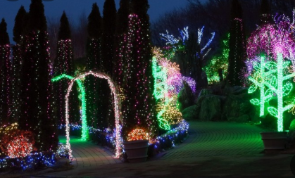 365일 빛축제 가을에 꼭 가봐야할 빛축제 BEST 5