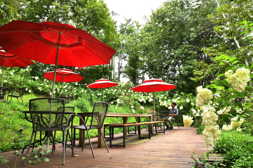 특색있고 아름다운 민간 정원 30선 추천 여행 - 22. 담양 죽화경