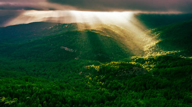 제로웨이스트 친환경 화장품 브랜드