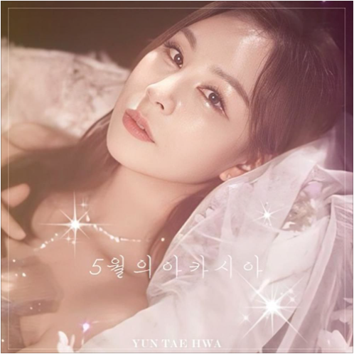 윤태화 5월의 아카시아 앨범 사진