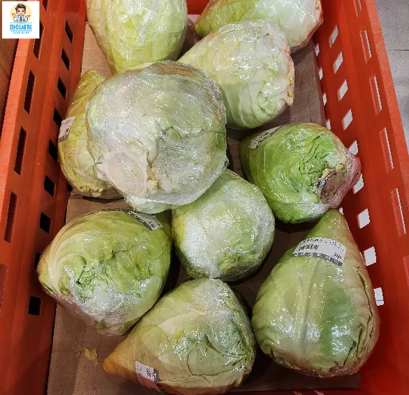 꼬깔양배추 원뿔양배추 10가지 효능 섭취방법 고르는방법 칼로리 비타민U