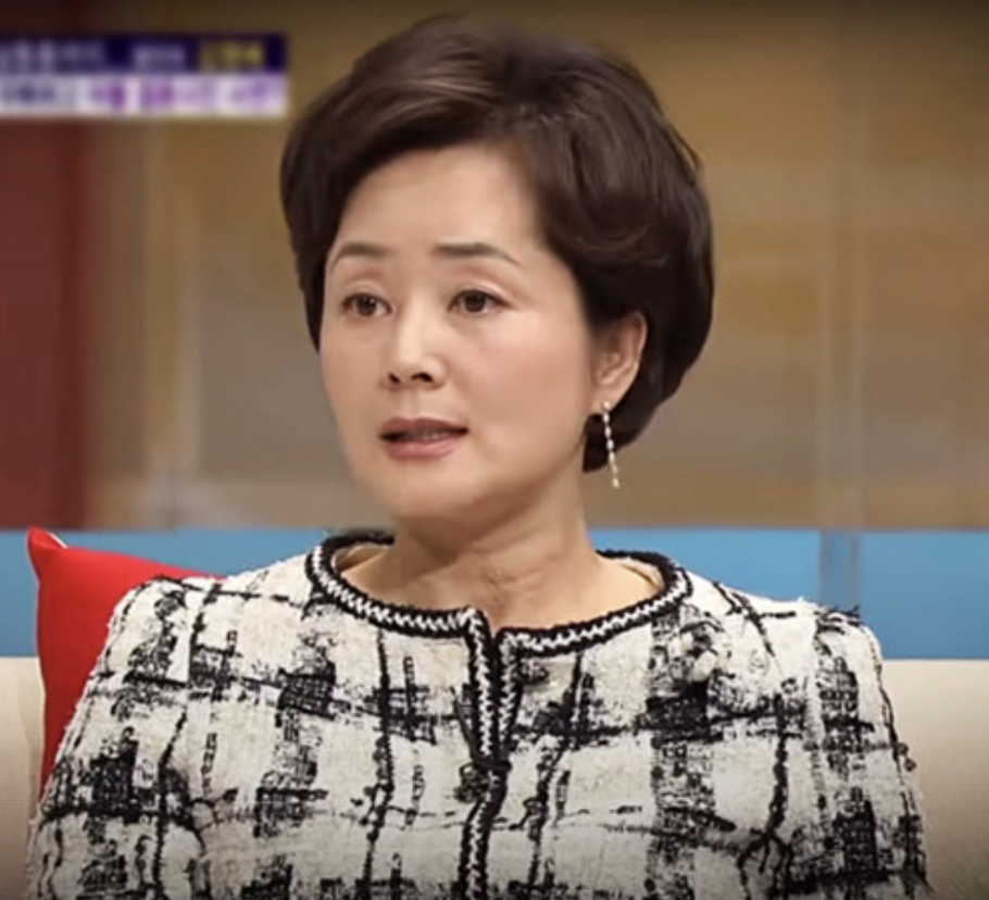 김영애 방송활동