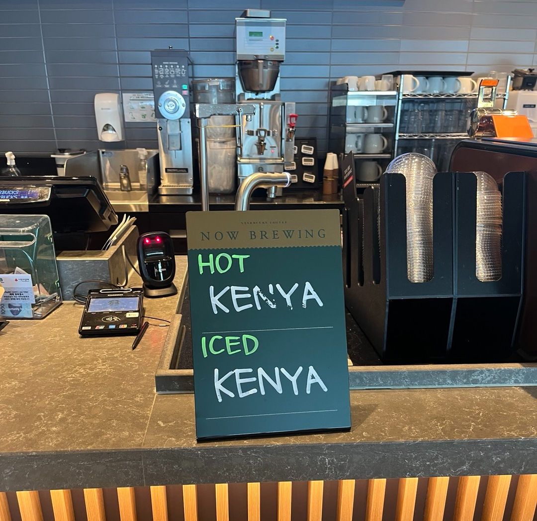 스타벅스 망원한강공원점