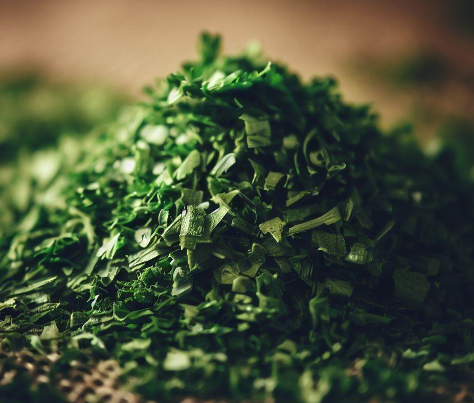 클로로필 음식 파슬리