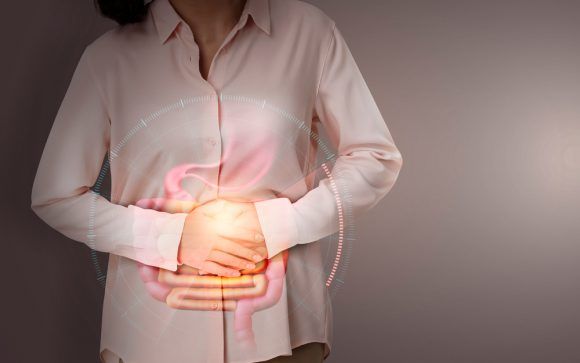 장은 제2의 뇌입니다 – 하루 한 번 비우는 장 건강 루틴