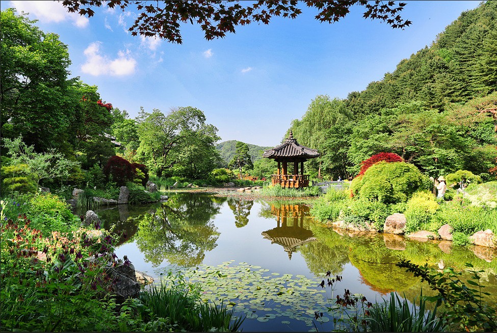 가평-아침고요수목원-사진