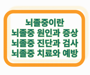 뇌졸중 원인과 증상 진단과 검사 치료와 예방