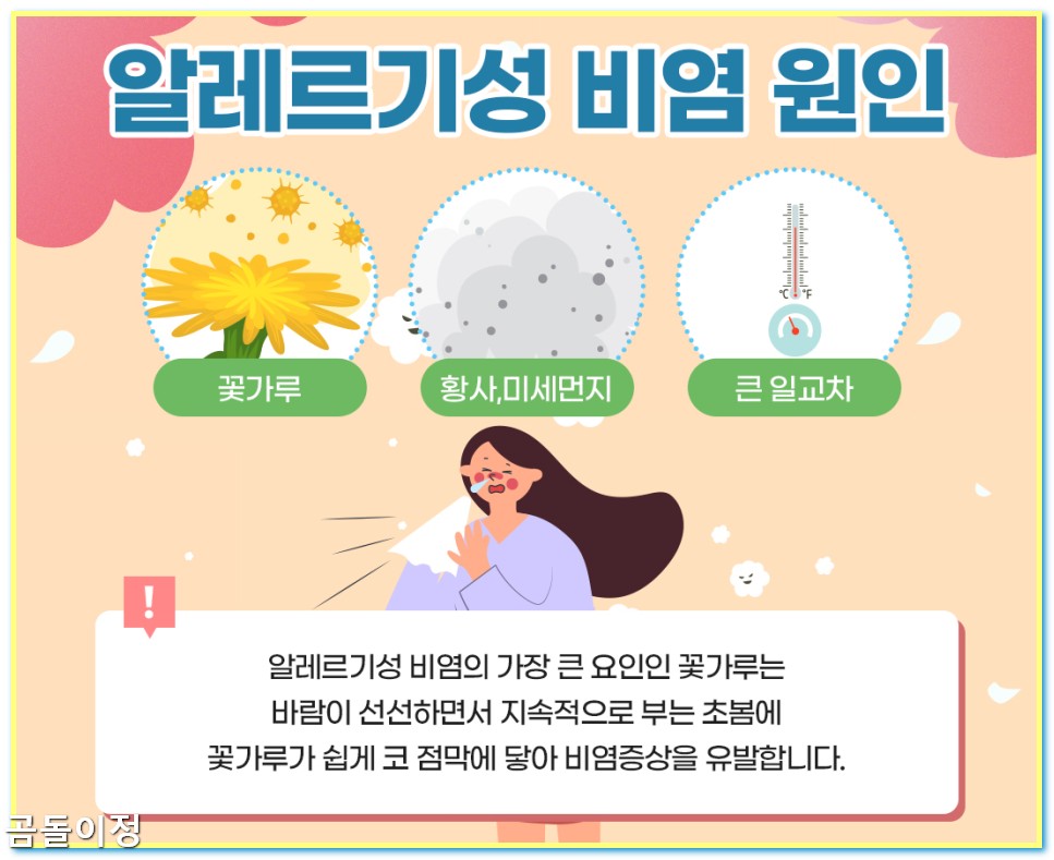 만성비염 극복 후기 광선치료로 코막힘 사라진 리얼 체험담