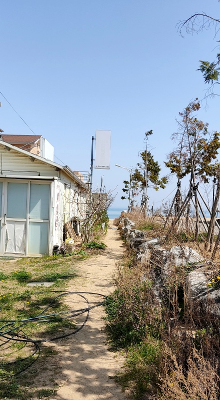 학암포 야영장에서 해수욕장으로 가는길