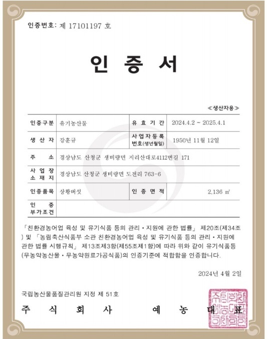 인증서