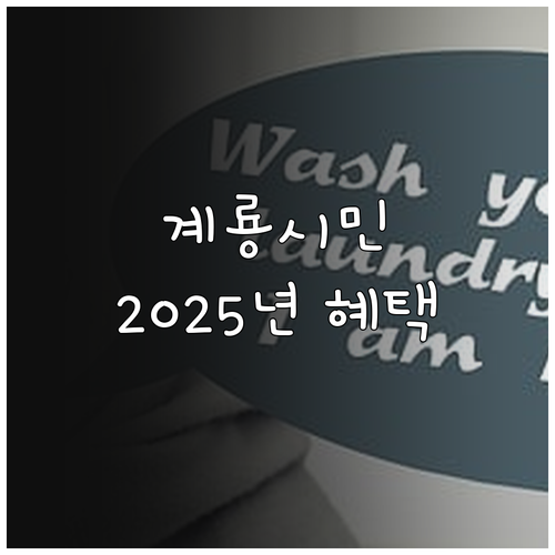 계룡시 전입 시 꼭 알아야 할 202..