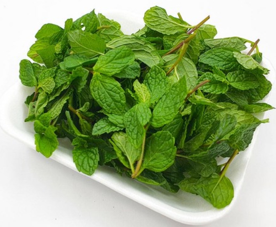 가을에 피는 꽃 종류 애플민트