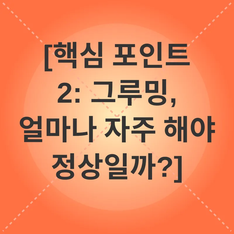 고양이 그루밍_2