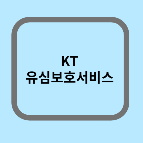 KT유심보호서비스