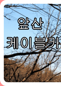 대구 앞산 케이블카 요금