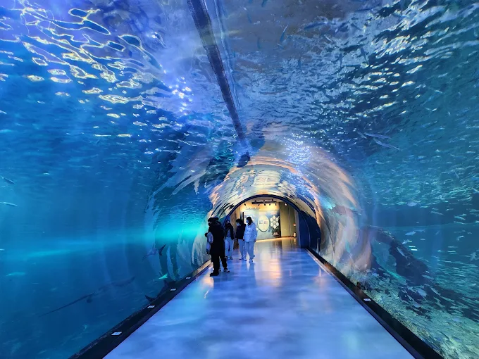 제주아쿠아플레넷