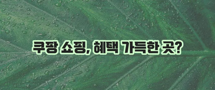 쿠팡 쇼핑몰 바로가기