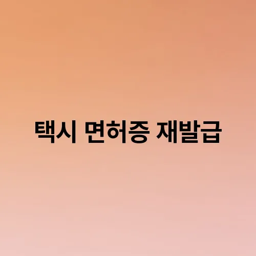택시 면허증 재발급